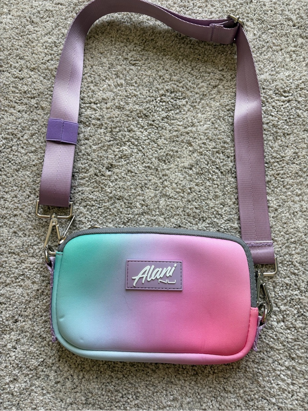 Alani Nu Gradient Crossbody Bag in Pink & Mint